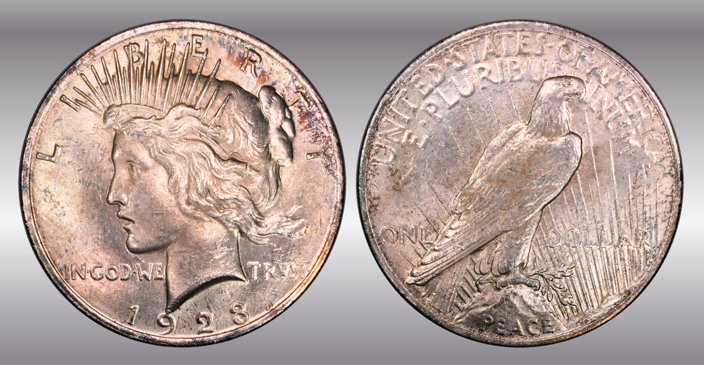 My-Raw-Peace-Dollar-Collection.-.-.-.-Warning!